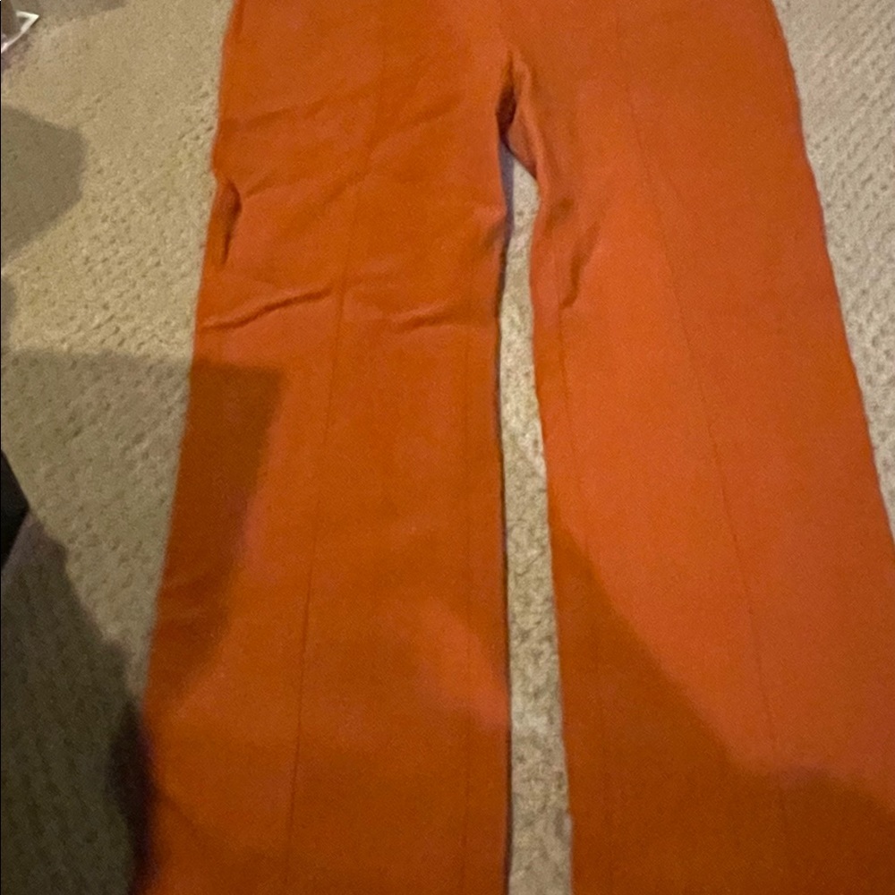 Theory burnt Orange pants